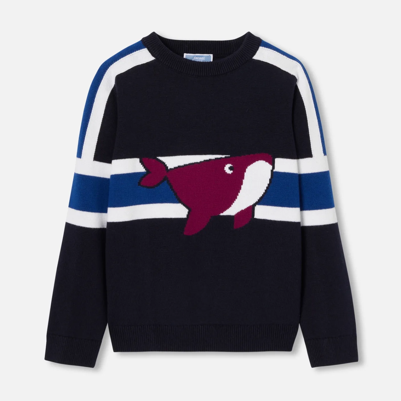 Sweaters, Sweatshirts And Cardigans-Jacadi Boy sweater Navy/Blue